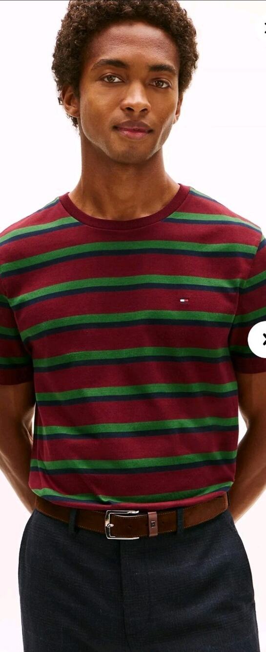 Nwt Tommy Hilfiger Sz Xl Stripped Burgandy Navy & Green Tshirt Mens